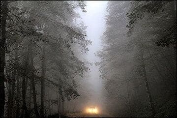 در محور‌های جاده ای چالوس و فیروزکوه مه گرفتگی خطر آفرین اتفاق افتاد.