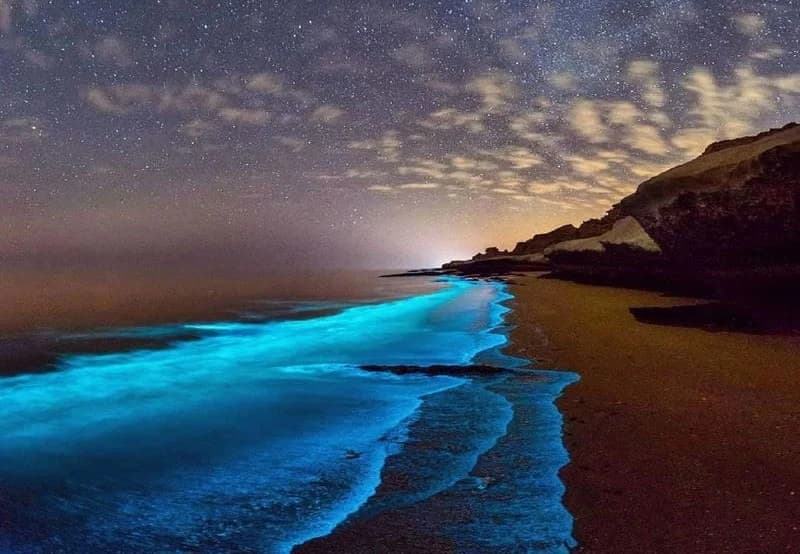 ساحل نقره ای
