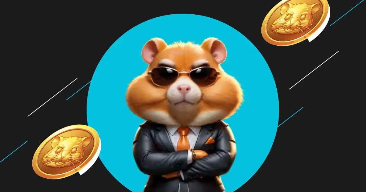 hamster daily combo