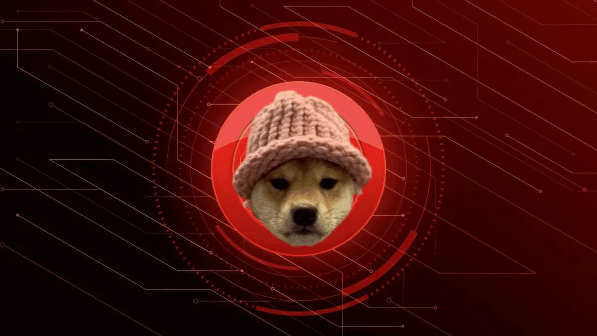 dog WIF