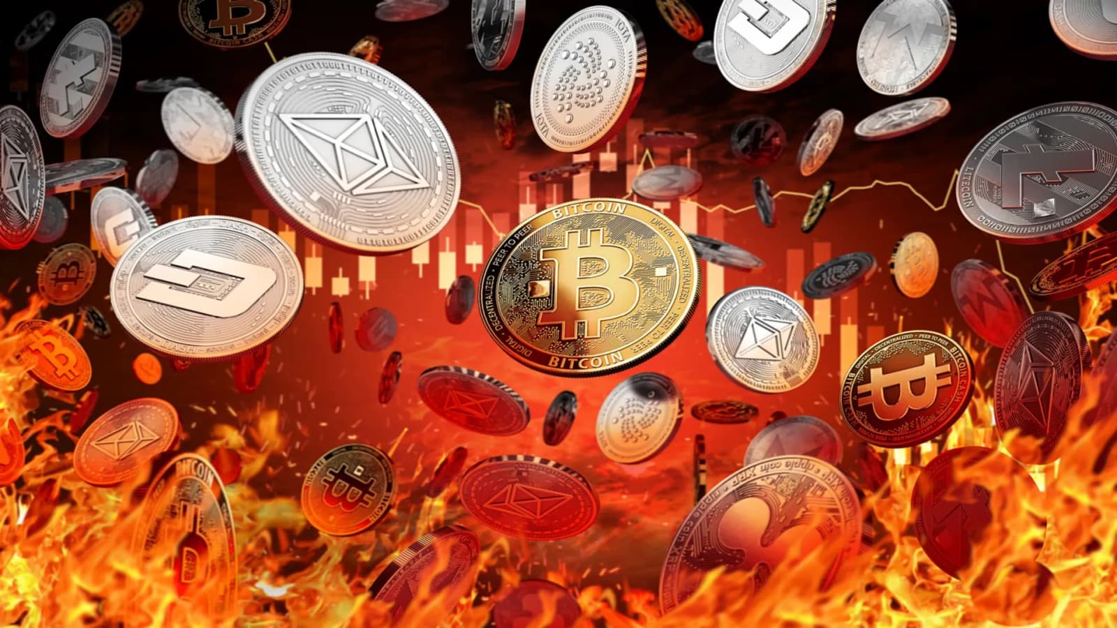 Crypto Crash
