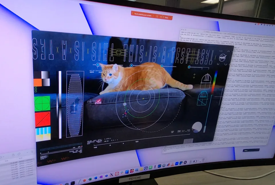 ناسا ویدئویی از گربه ای به نام تاترز را از اعماق فضا به زمین ارسال کرد
