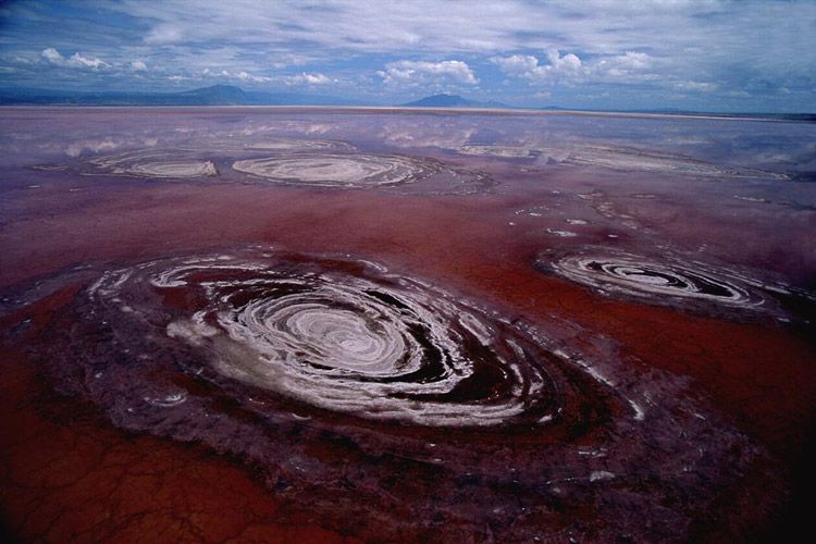 دریاچه ناترون، تانزانیا (Lake Natron, Tanzania)