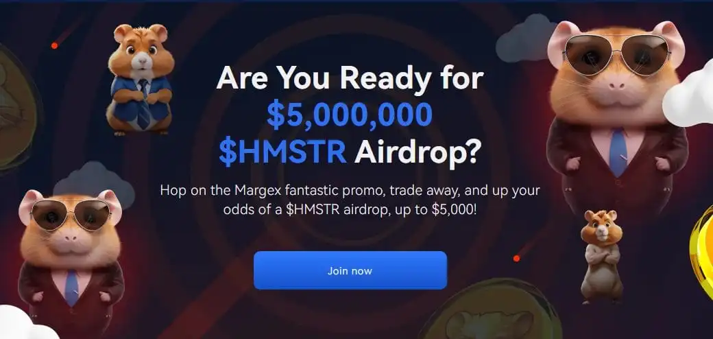 hamster coin airdrop