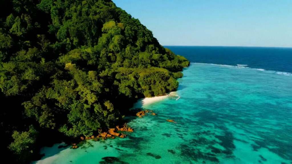 تغییر و ویرایش دقیق صحنهها