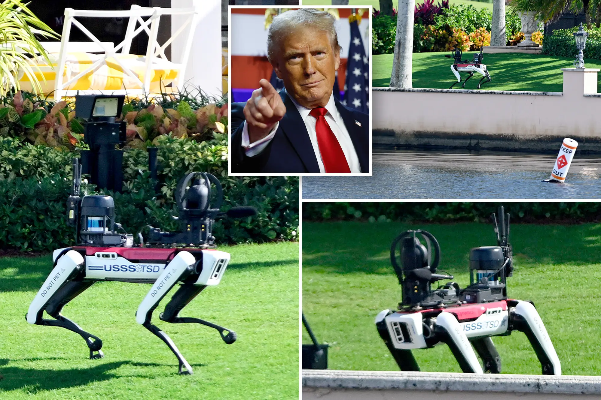 Robotic dogs in body protection trump
