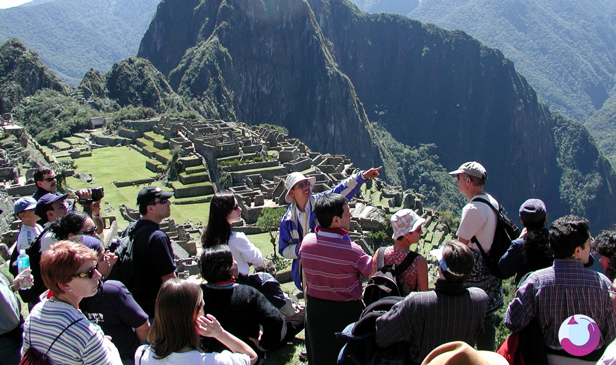 تفاوت تور گروهی با تور انفرادی