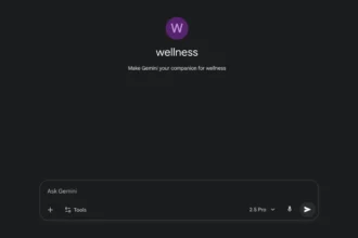 Google Gemini Adds Premade ‘Wellness Gem More