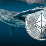 Ethereum Whale