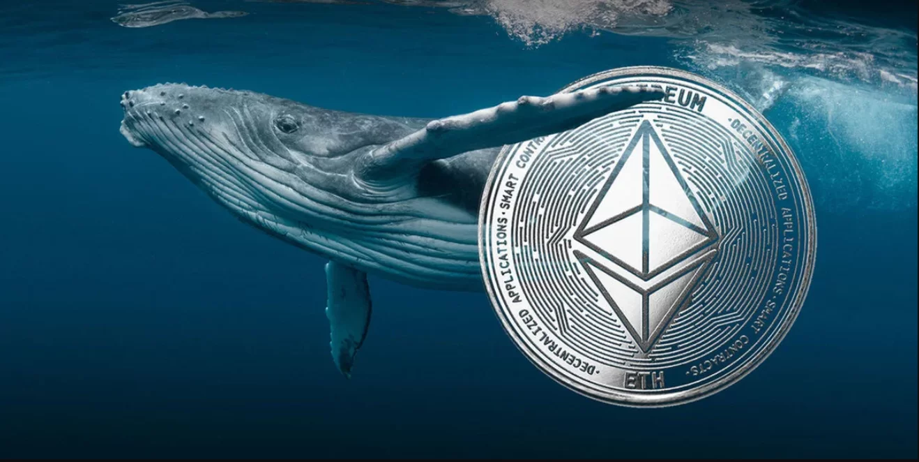 Ethereum Whale