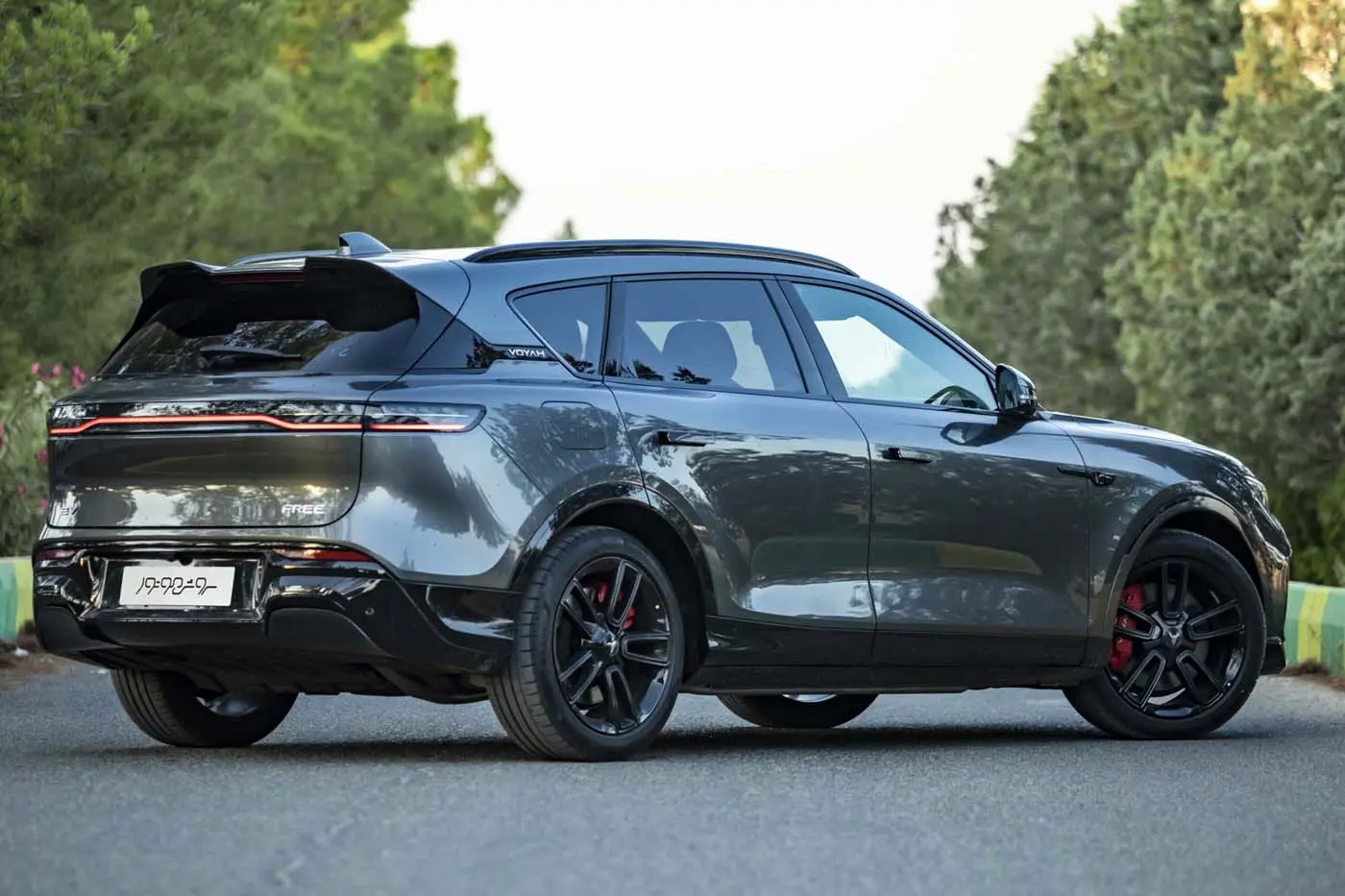 وویا فری ۲۰۲۵